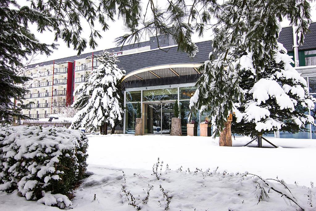 Aparthotel am Rennsteig photo 1