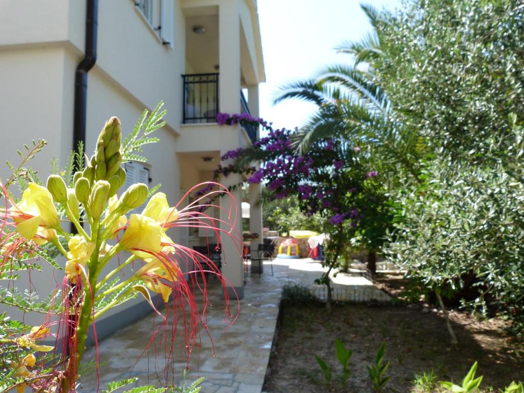 Apartments Ivanković photo 4