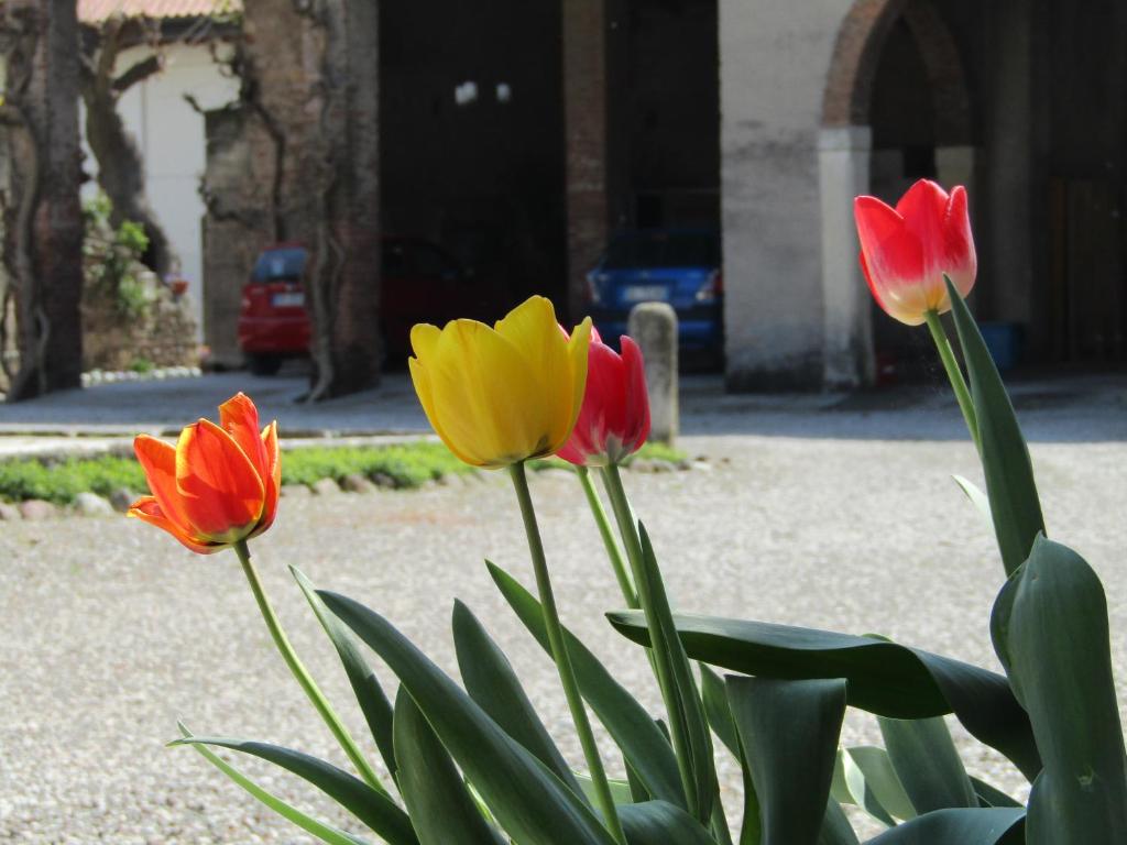 Residenza Torre Antica photo 4