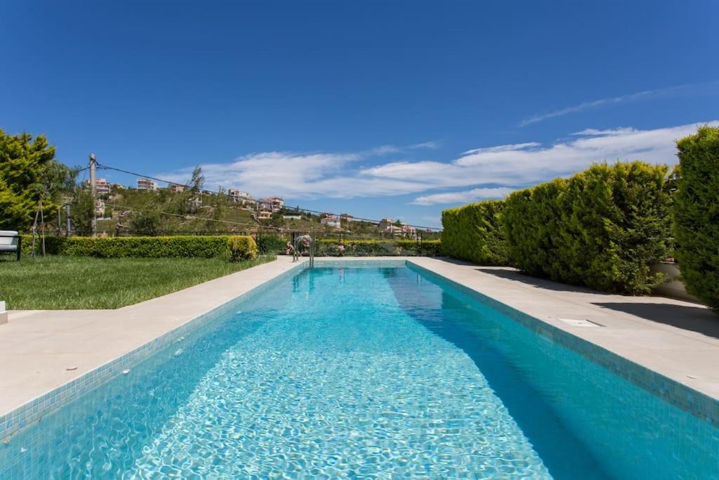 Sia's Luxury Maisonette photo 4
