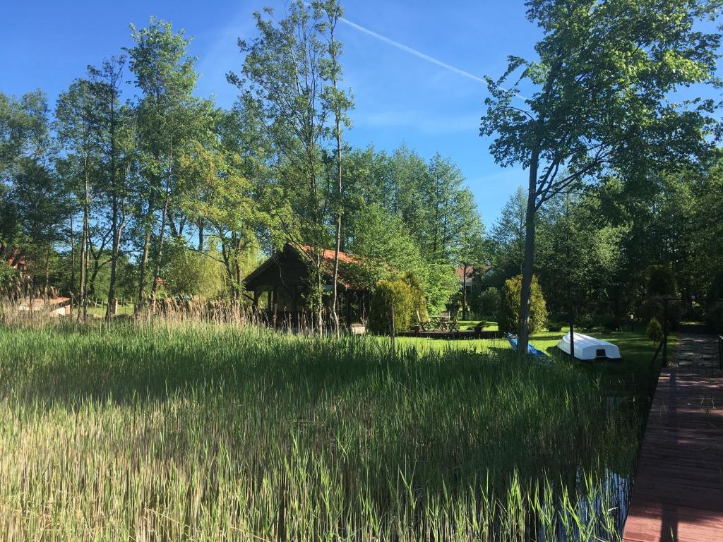 AlleGorło photo 2