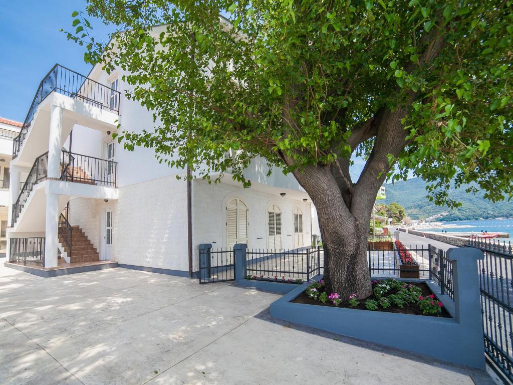 Apartments Balbo photo 3