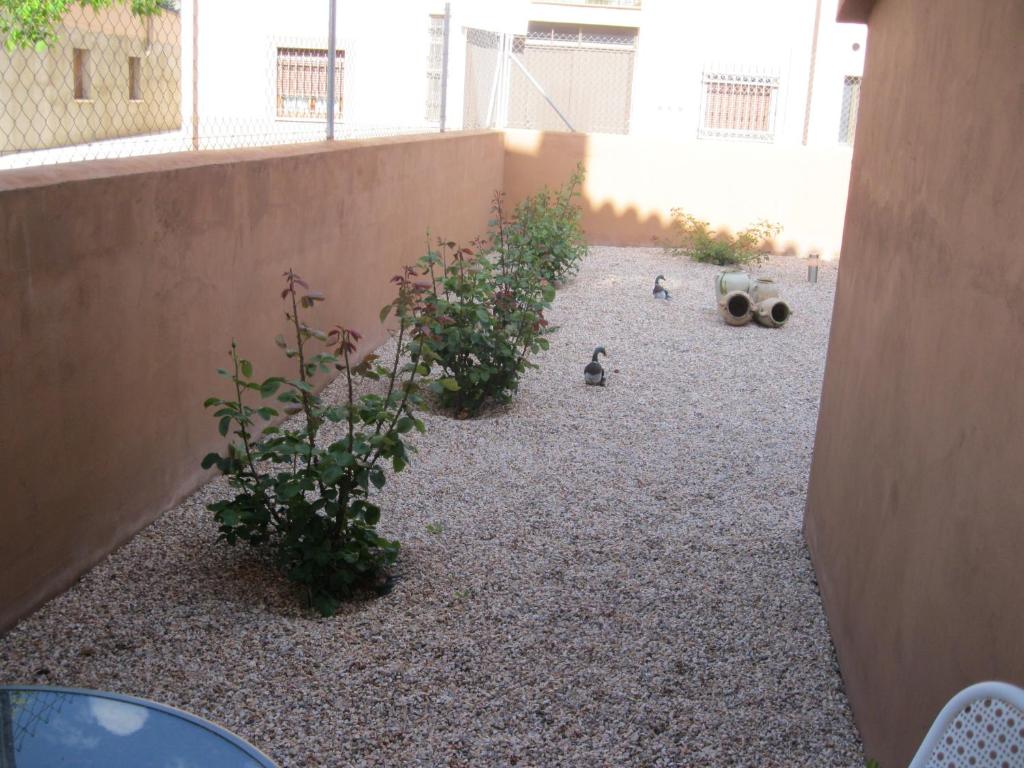 Hostal Sol de la Vega photo 1