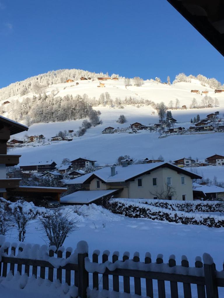 Ado's Haus photo 3