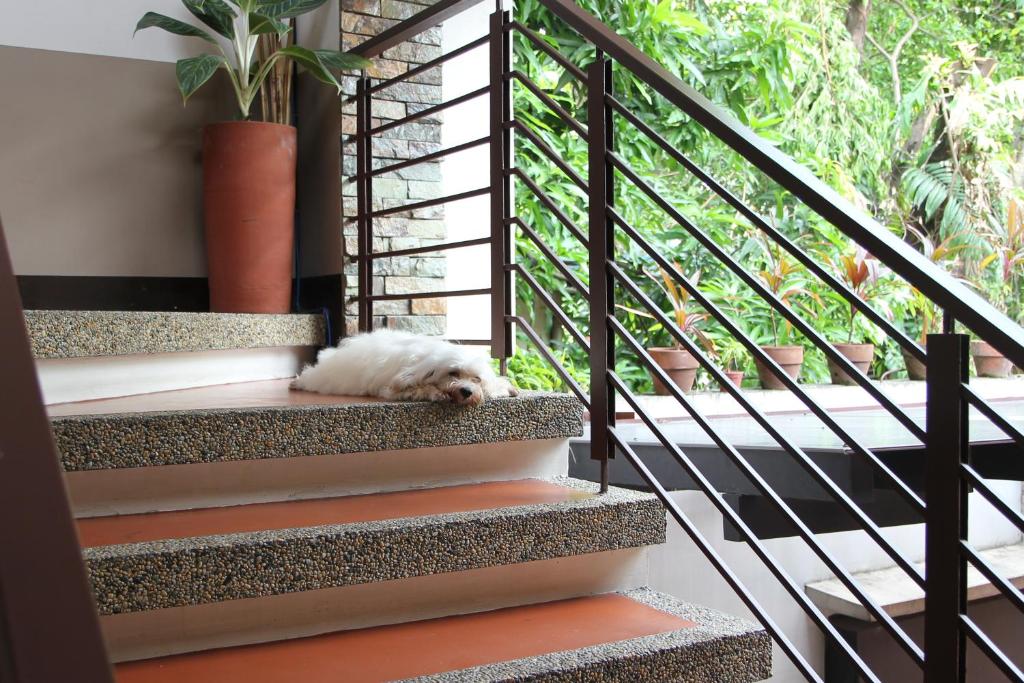 New Manila Suites photo 3