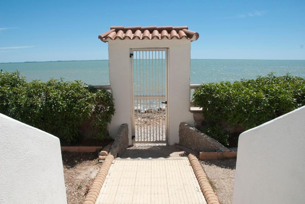 Sargantana Blava photo 2