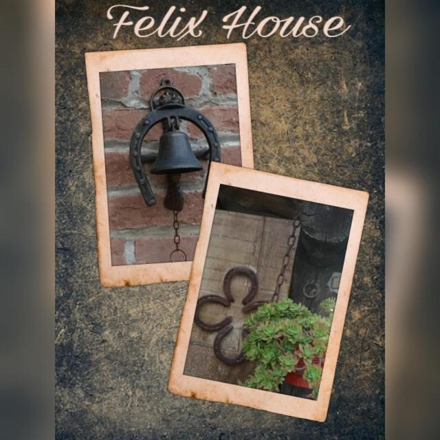 Felix House photo 1