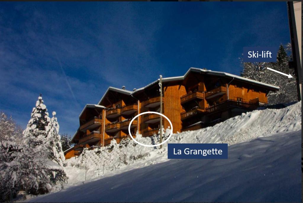 La Grangette - Morzine photo 1