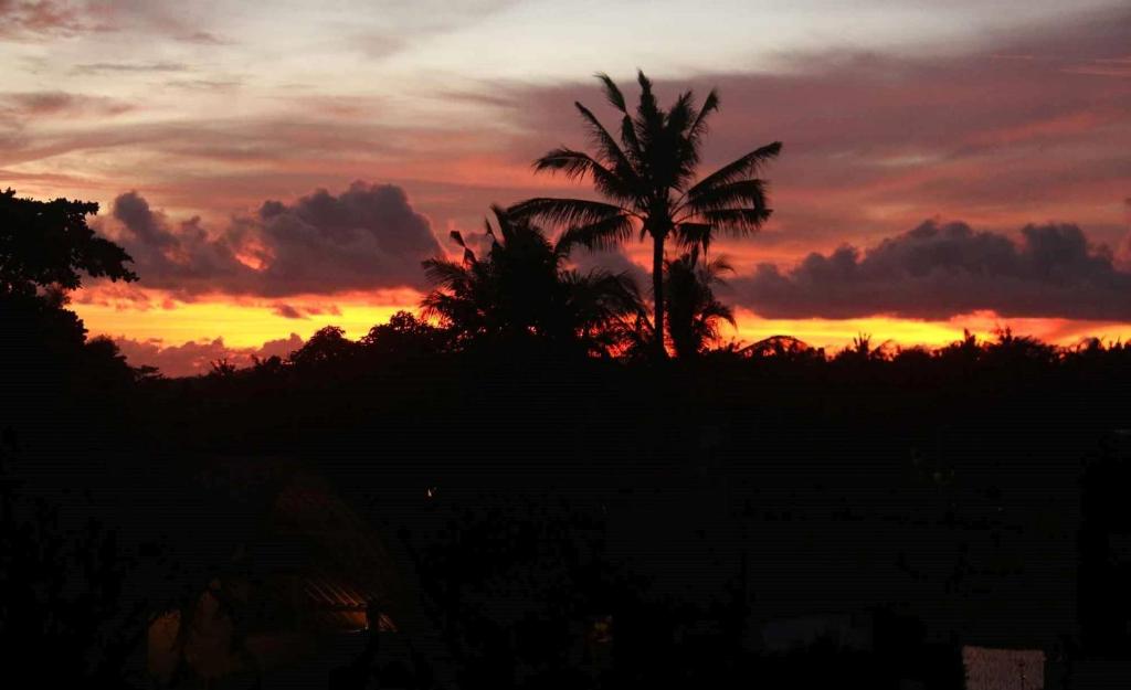 Двухместный (Двухместный номер с 2 отдельными кроватями и окном), Nuriani Restaurant and Rooms