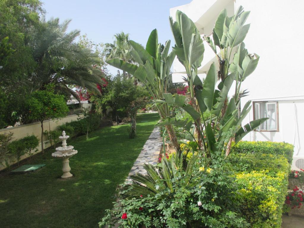 Tsialis Hotel Apartments photo 4