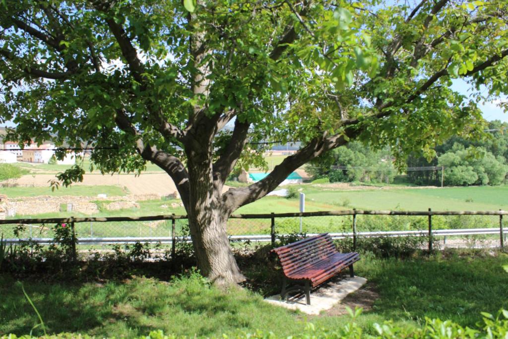 Apartamento Naturaleza photo 3