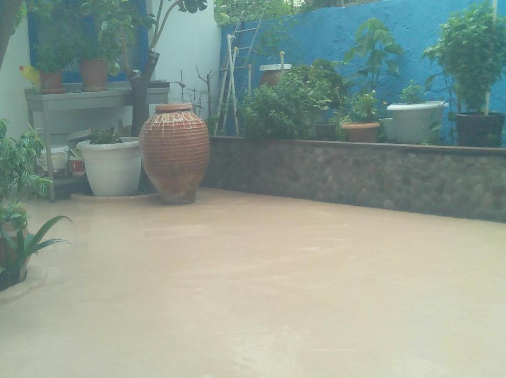 Pension Gina photo 4