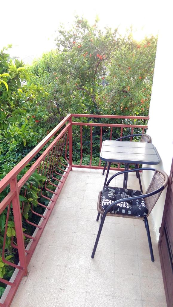 Apartments Petković photo 2