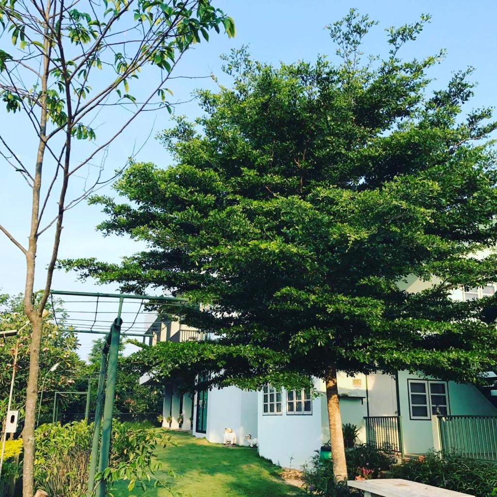 Little House at Khaoyai photo 2