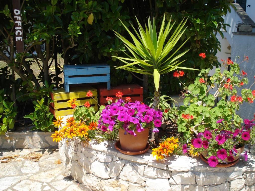 Breezes B&B photo 2