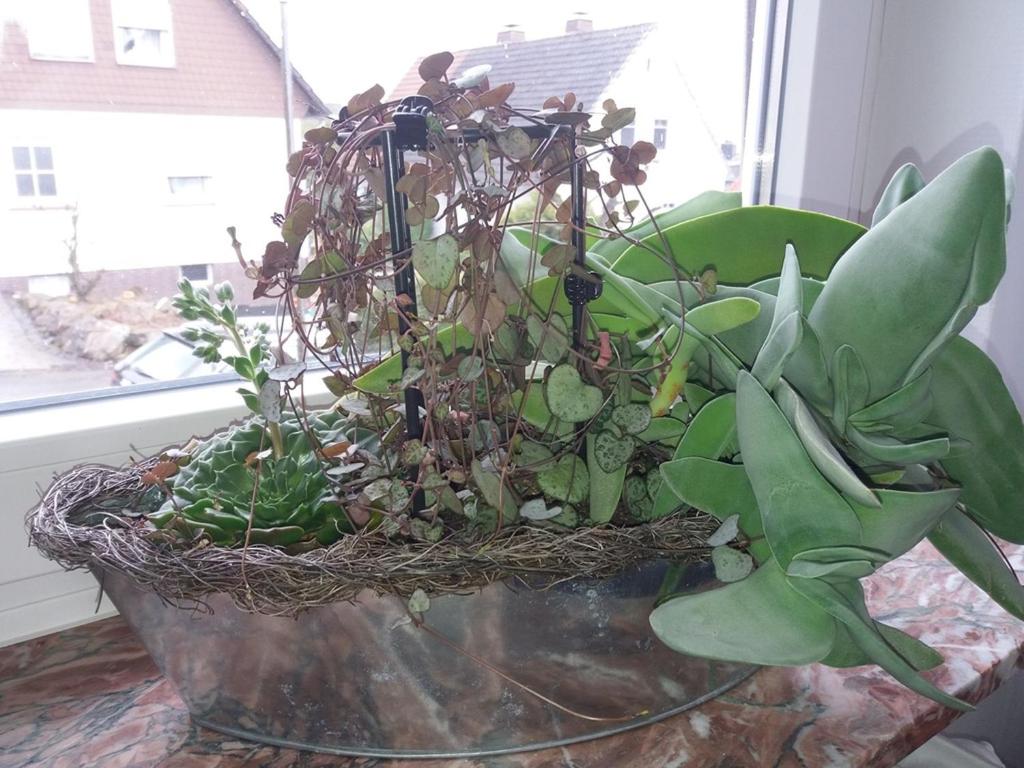 Haus Maruna photo 2