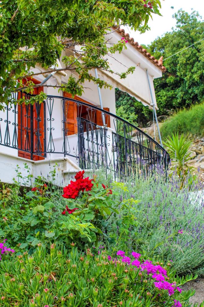 Guesthouse Lykourgos photo 4
