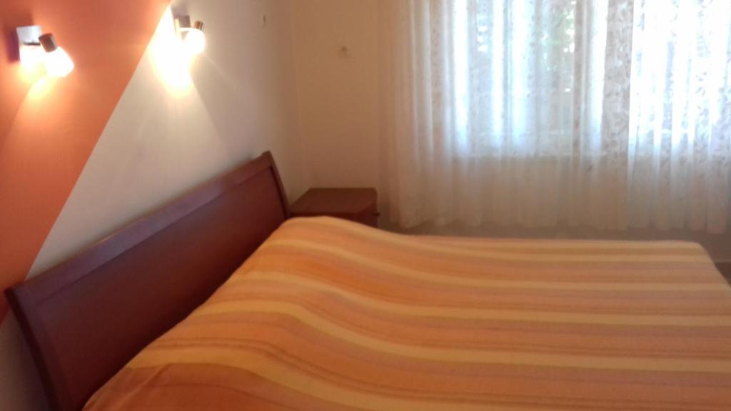 Apartments Branka photo 2