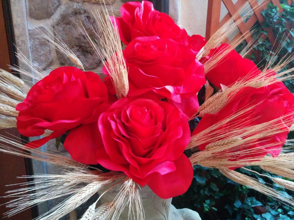 Casa Delle Rose photo 3