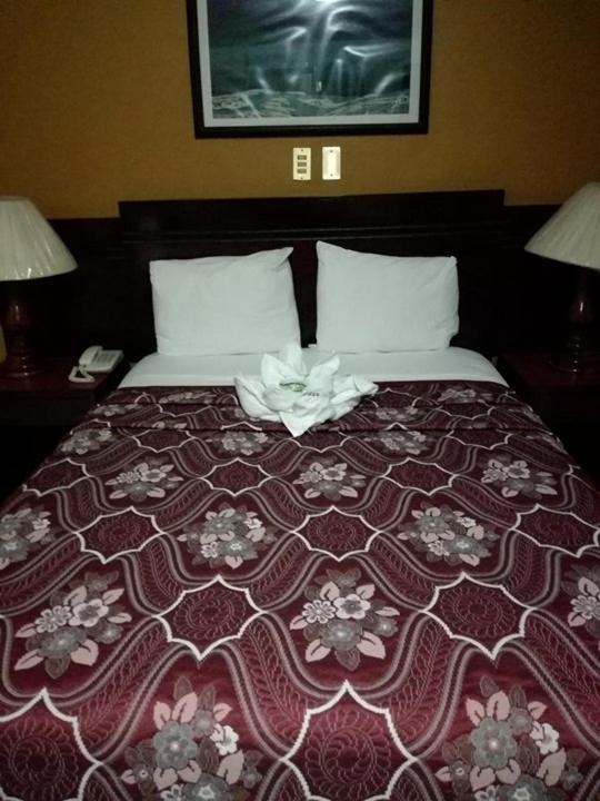 Hotel Dinastía Colima photo 1