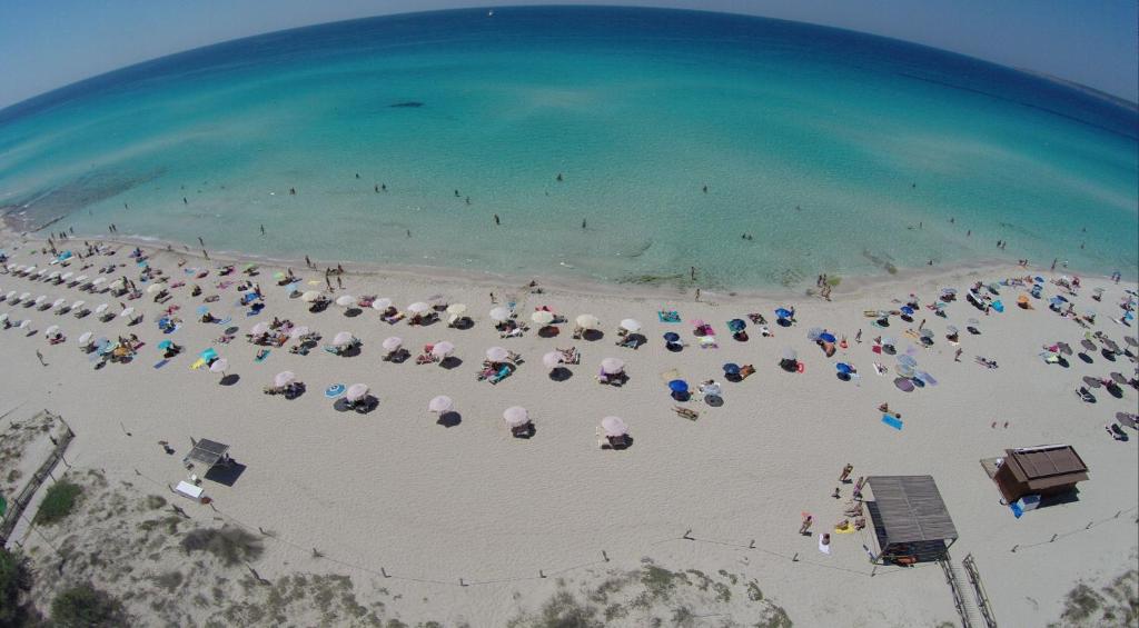 Pinos Playa Suites photo 2