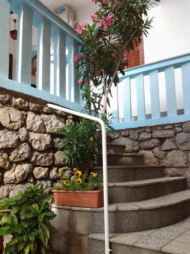 Apartment Ante photo 2