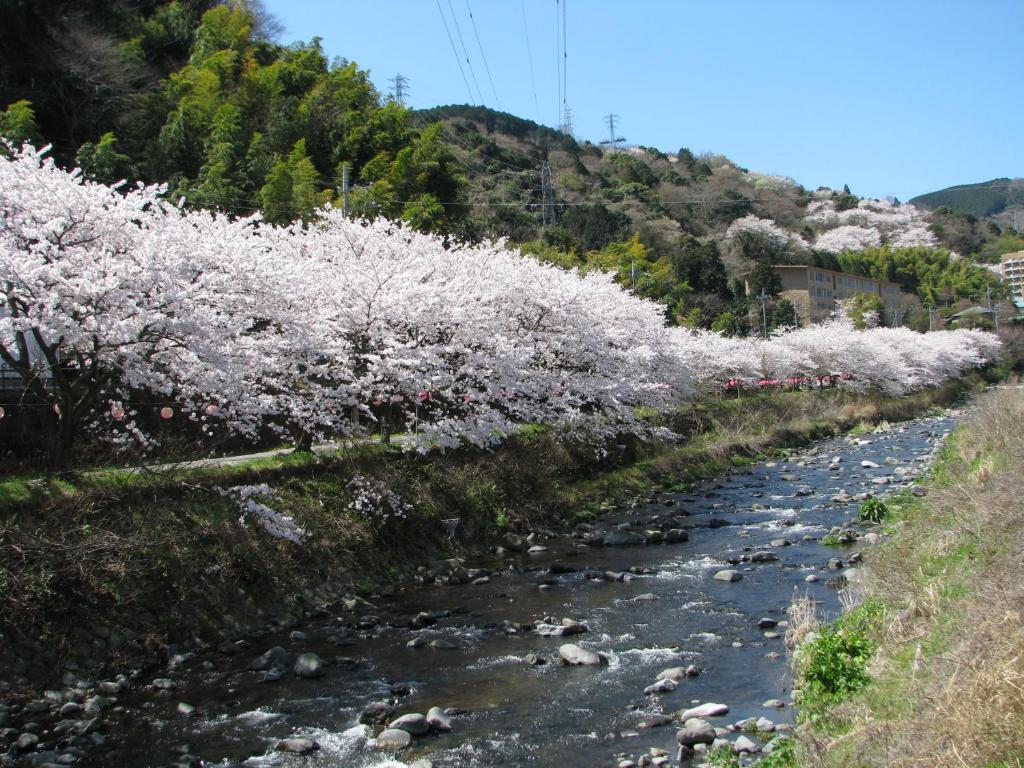 Yugawara Onsen Kawasegien Isuzu Hotel photo 3