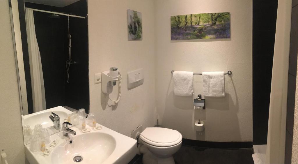 Семейный (Семейный номер), Hotel Parc & Lac