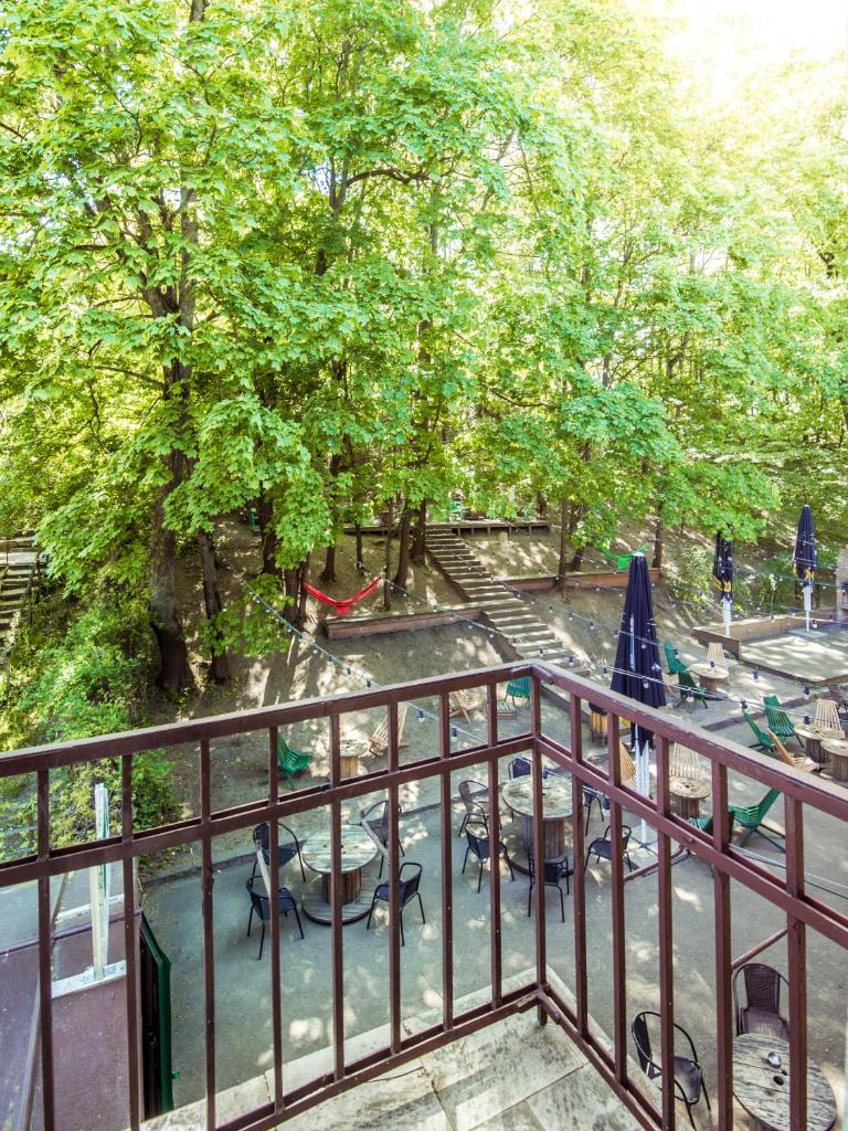 Номер (Кровать в общем 6-местном номере для мужчин и женщин), Downtown Forest Hostel & Camping