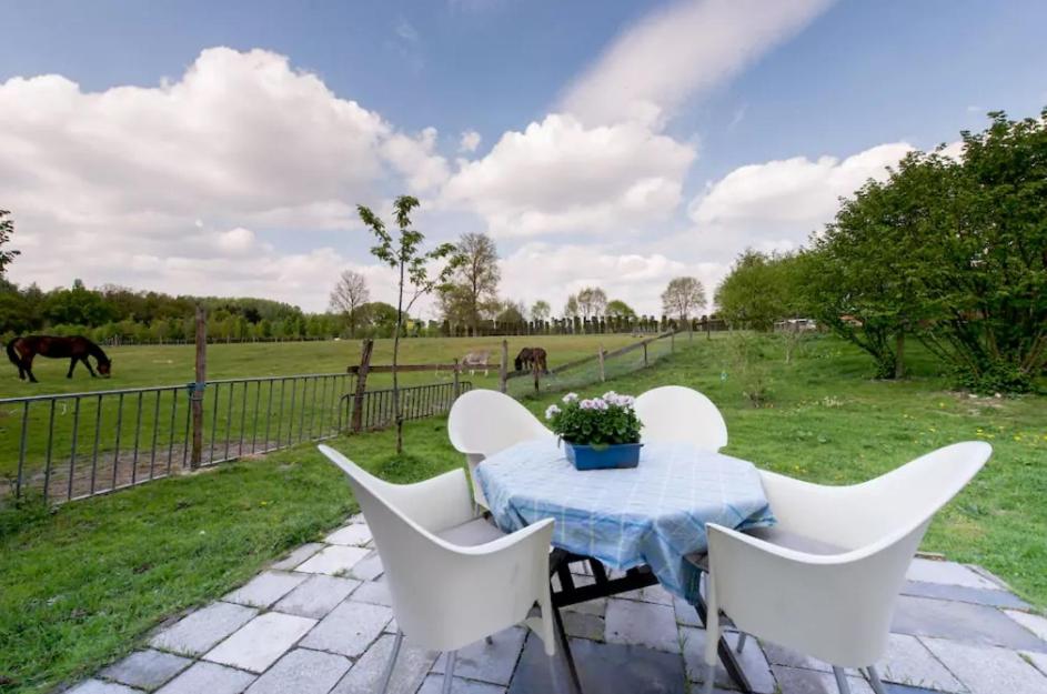 Farm Stay Luythoeve photo 1