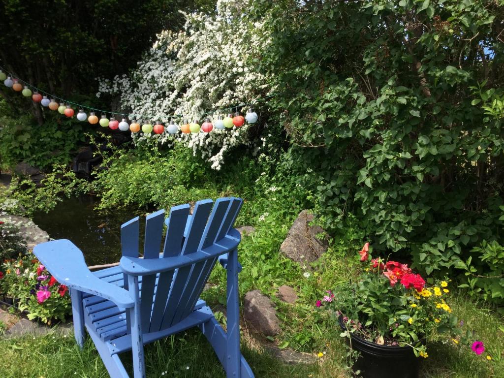 Hedley House Inn photo 3