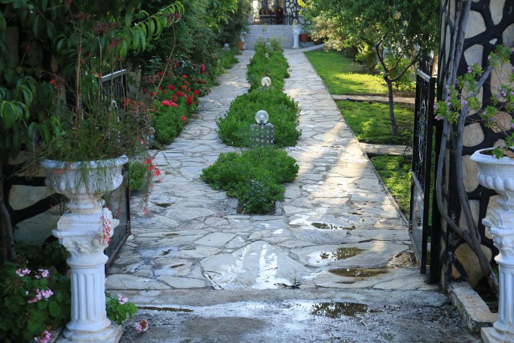 Patara Evleri photo 2