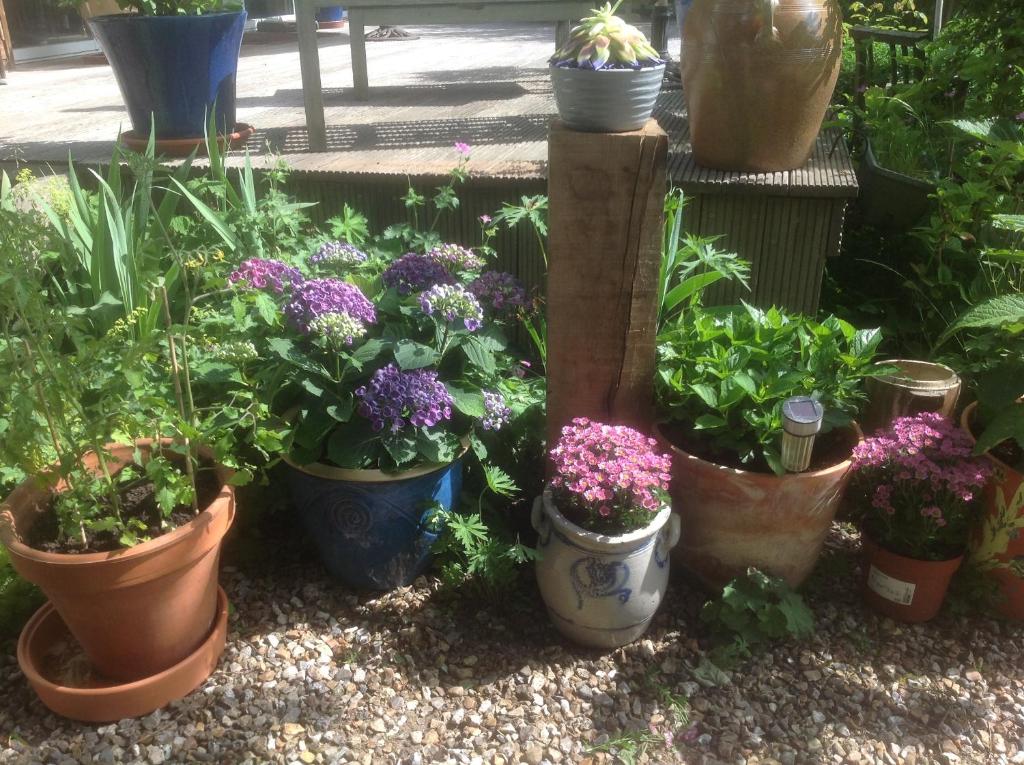 Au Fond du Jardin Maison d'hôtes photo 3