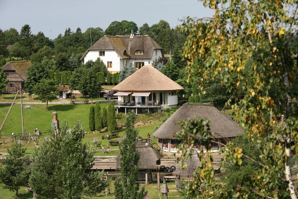 Vienkiemis photo 1