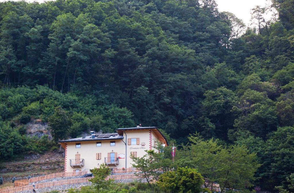 Coronata Haus photo 4
