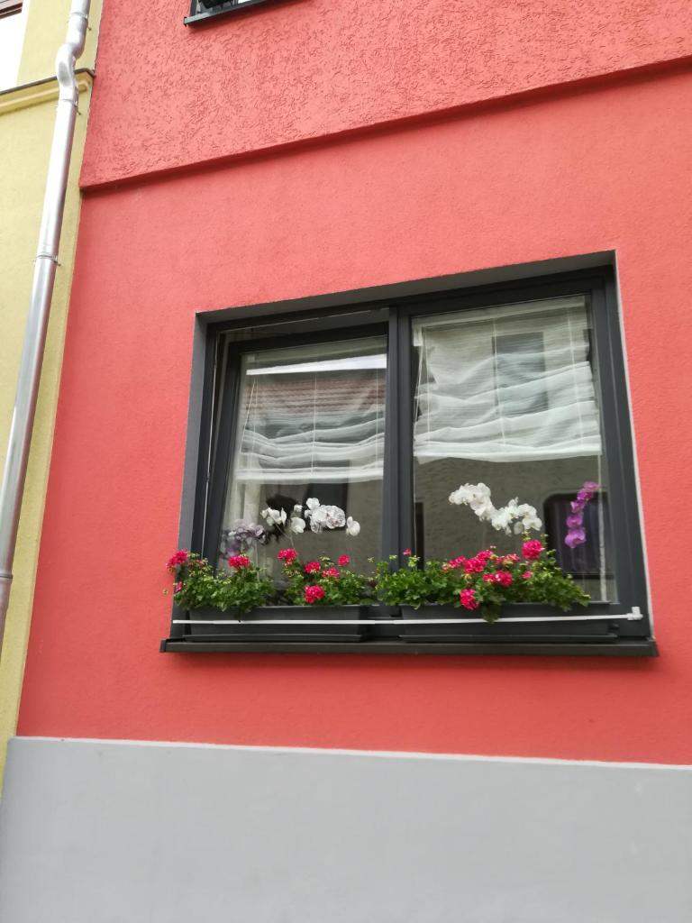 Ferienwohnung Amalie photo 2