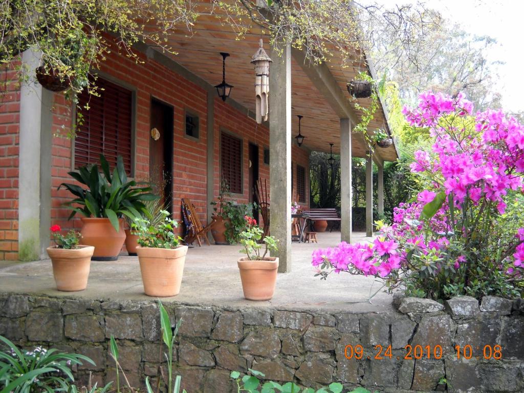 Posada del Bosque photo 2