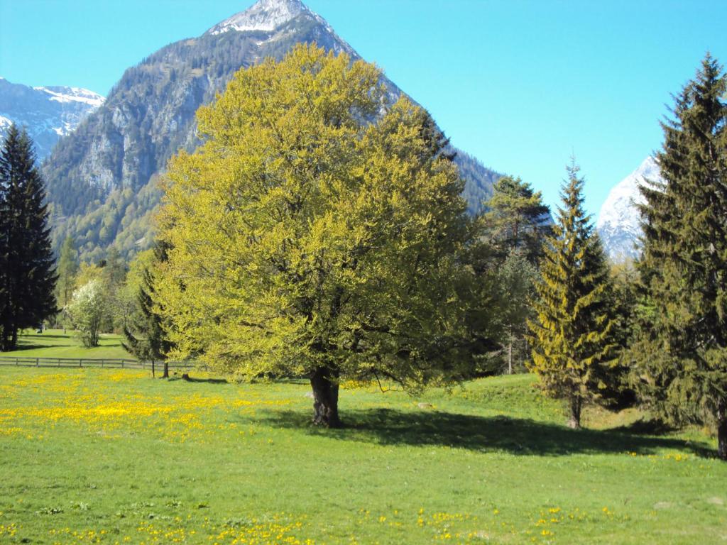Апартаменты (Апартаменты с 2 спальнями), Bergheim
