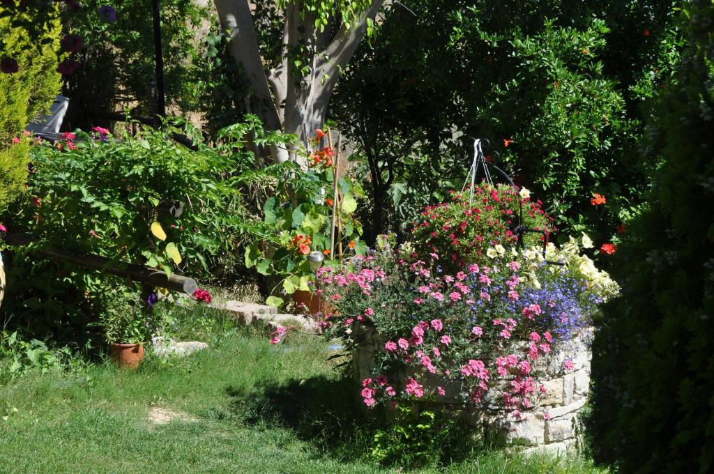 Korfes Apartments photo 1
