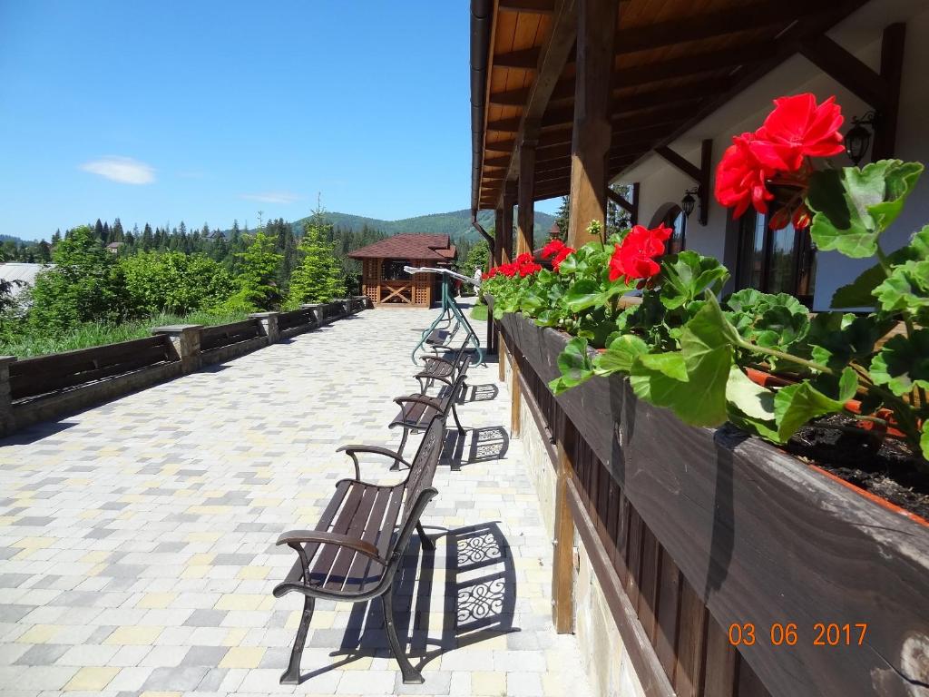 Alpenhof Pansion photo 3
