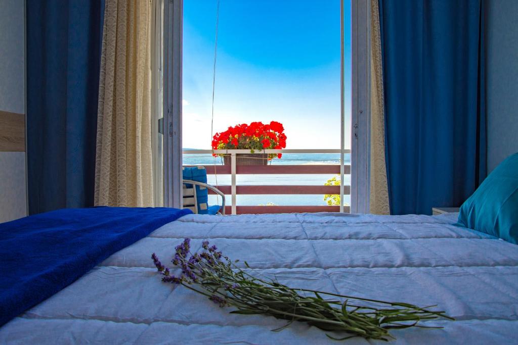 Guest House Djurdjica photo 1