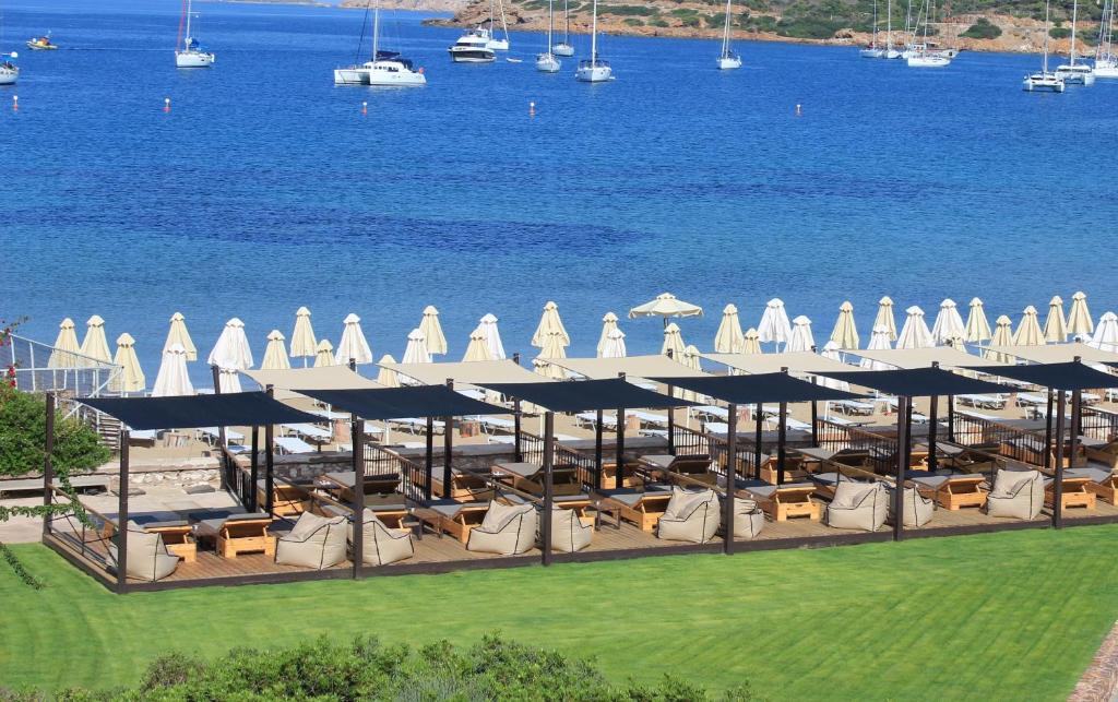 Aegeon Beach Hotel photo 4