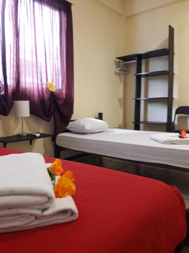 Alme Hostel photo 3