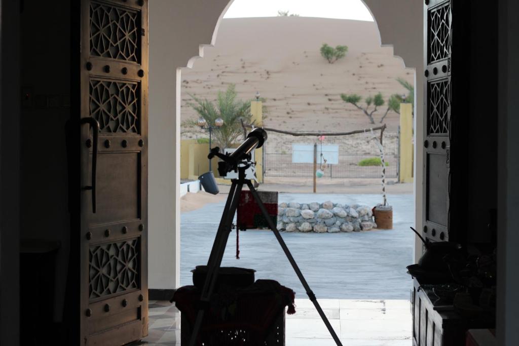 Golden Palm Oasis photo 3