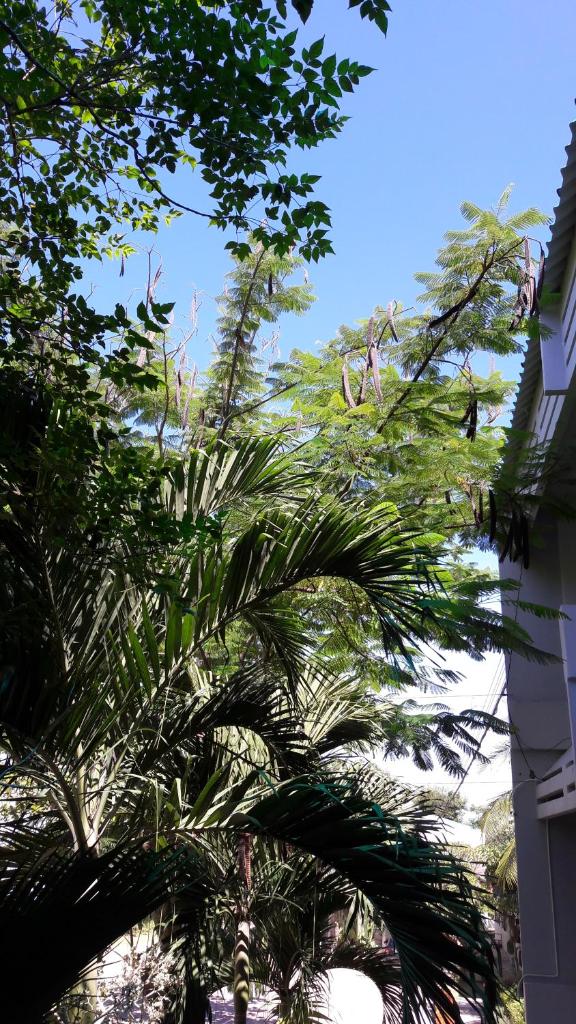 Апартаменты (Номер Делюкс с видом на сад), Addera Residence Hua Hin