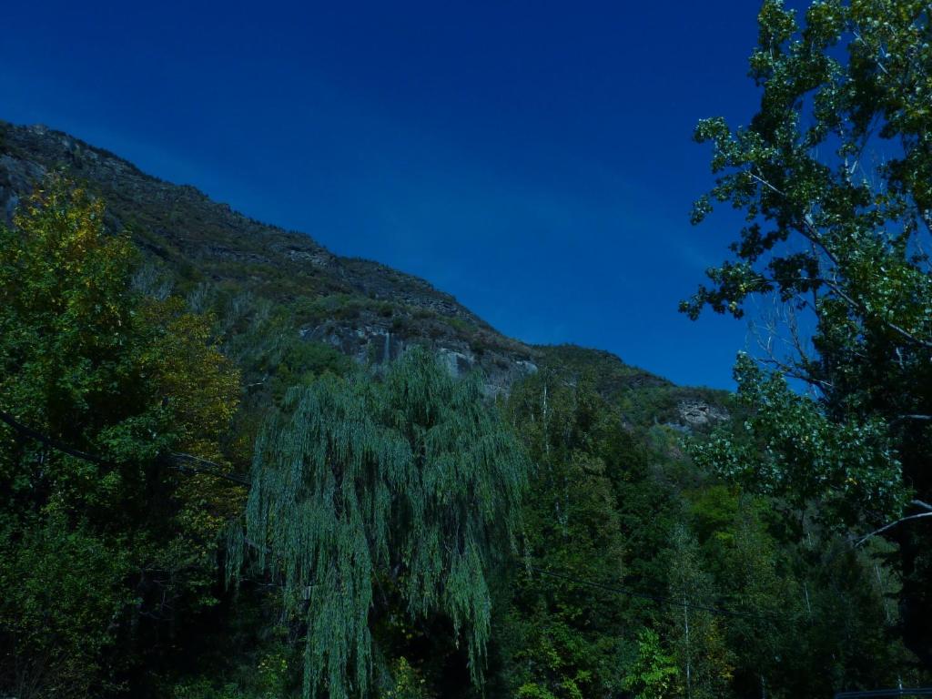 El Molino photo 3