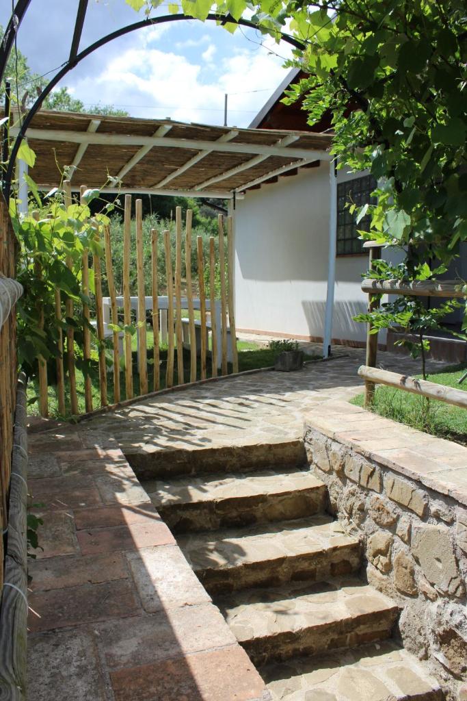 Radici House photo 2