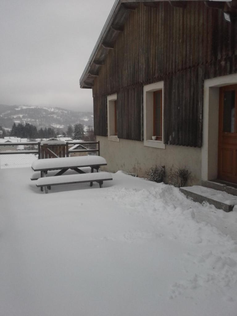Equi'val photo 4