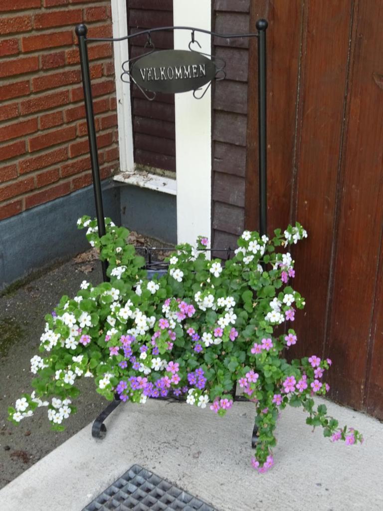 Ekbackens Vandrarhem photo 3