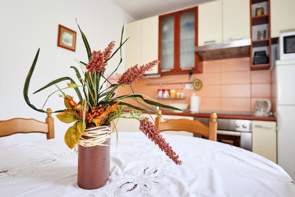Sv. Ilija Apartment - Vila Biokova photo 4